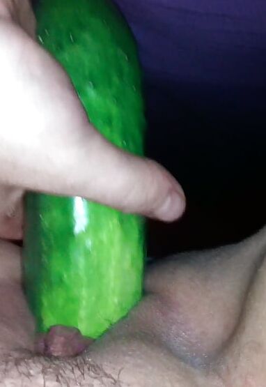 more pussy pics