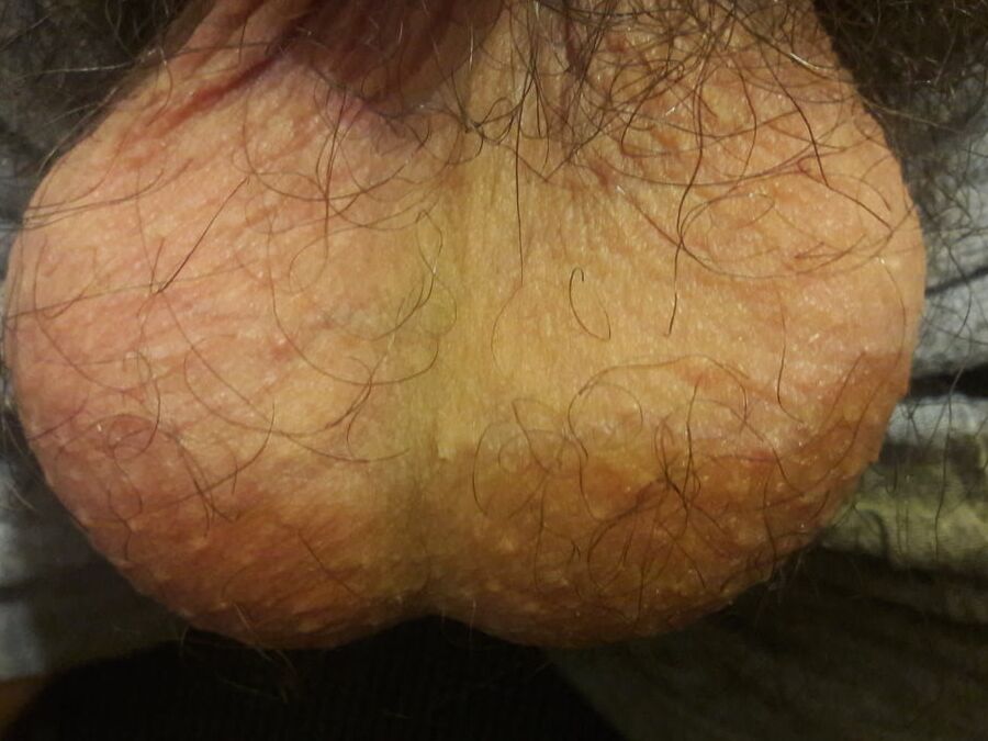 My big cock and yummy testicles want you)