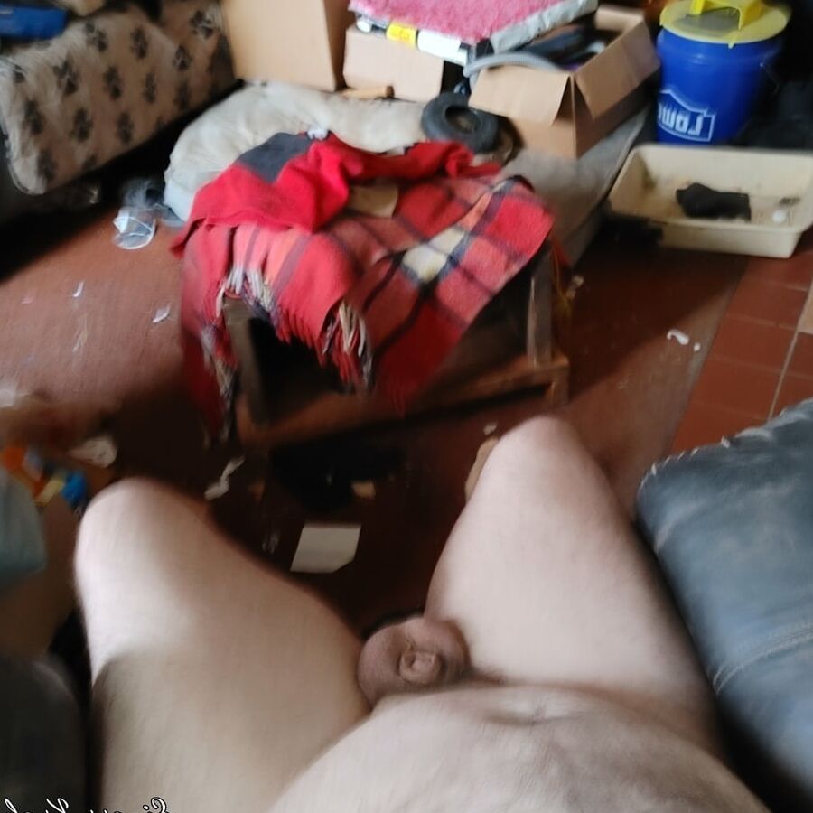 Cock collection