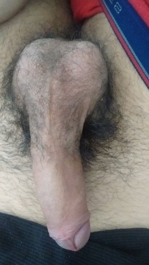 New pics my cock, ass
