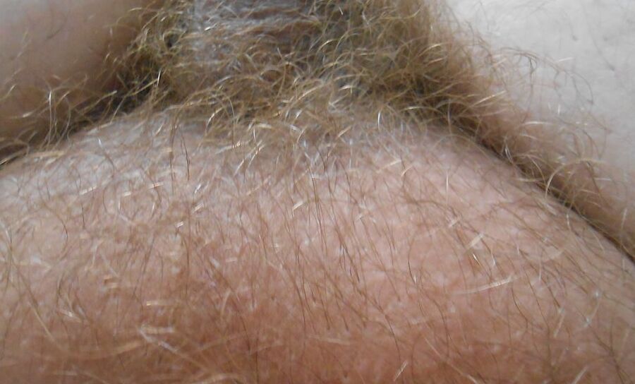 my tiny hairy dick before shaving