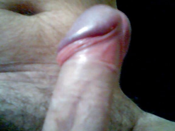 morning wood
