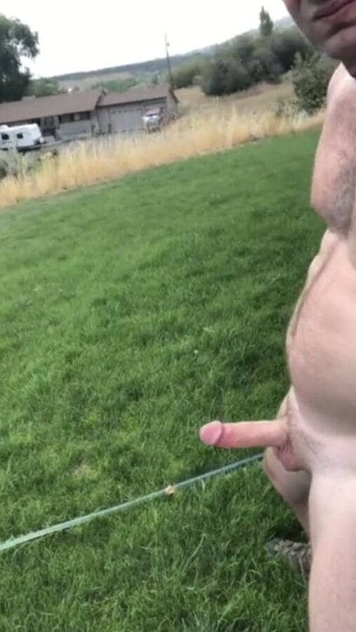 Front yard