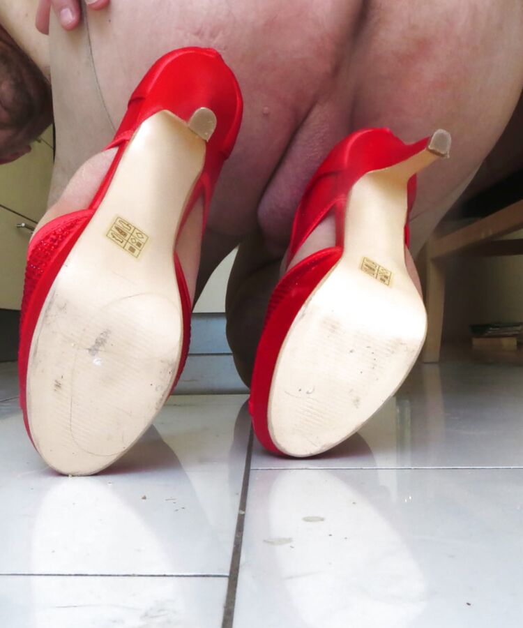 my wife&;s heels from the back