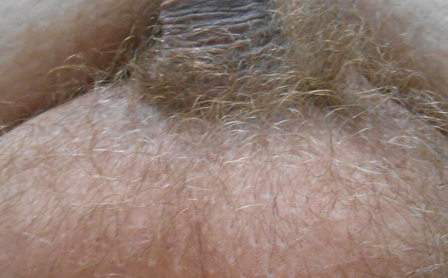 my tiny hairy dick before shaving