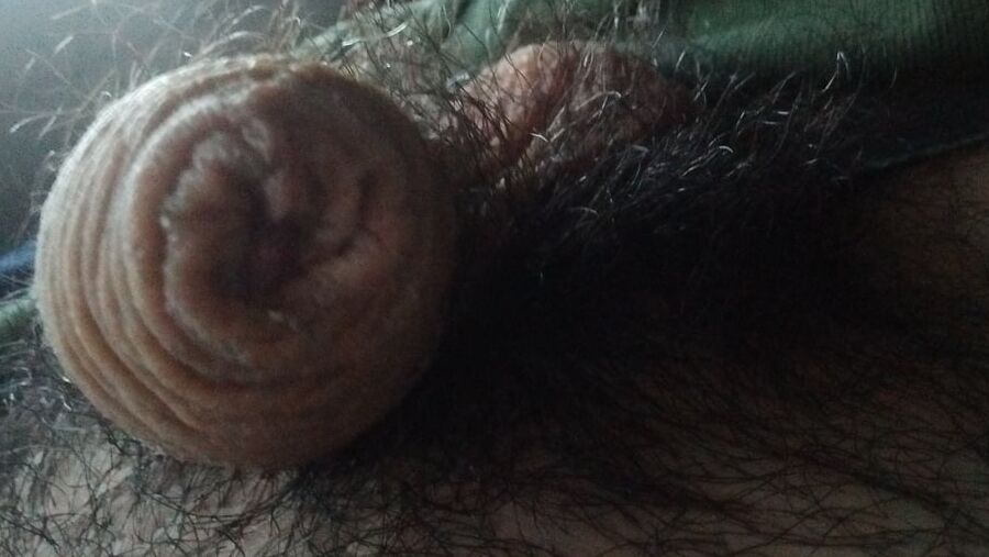 New pics my cock, ass