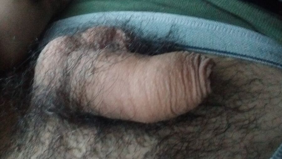 New pics my cock, ass