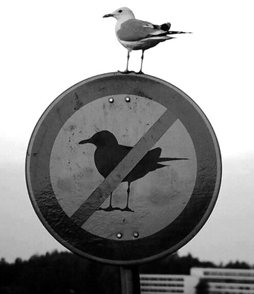 Prohibido