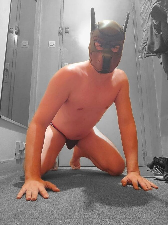 PetPlay dog slave