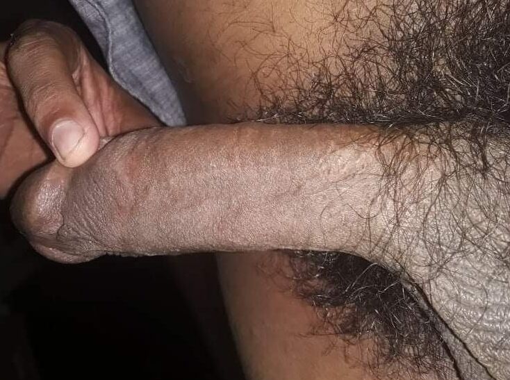 Dick or cock collection