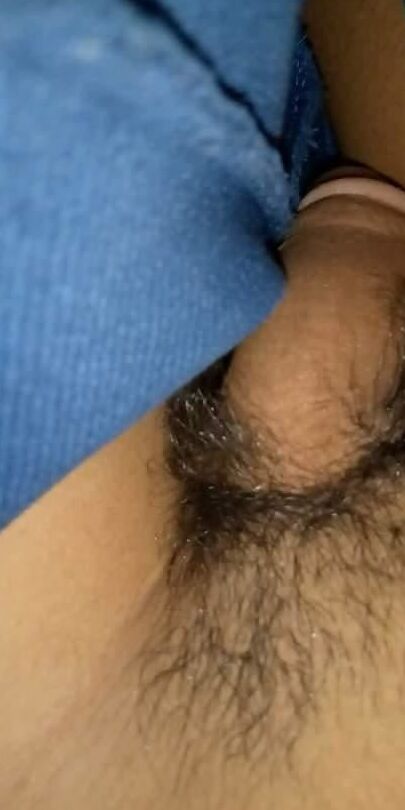 Dick or cock collection