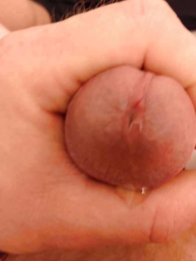 Cock rings, ball rings, glans ring with harness chain