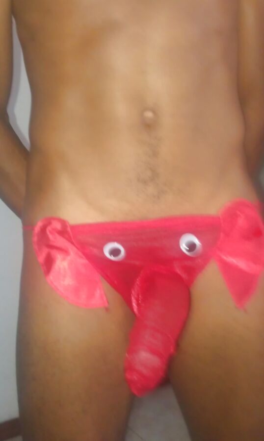 meu pau