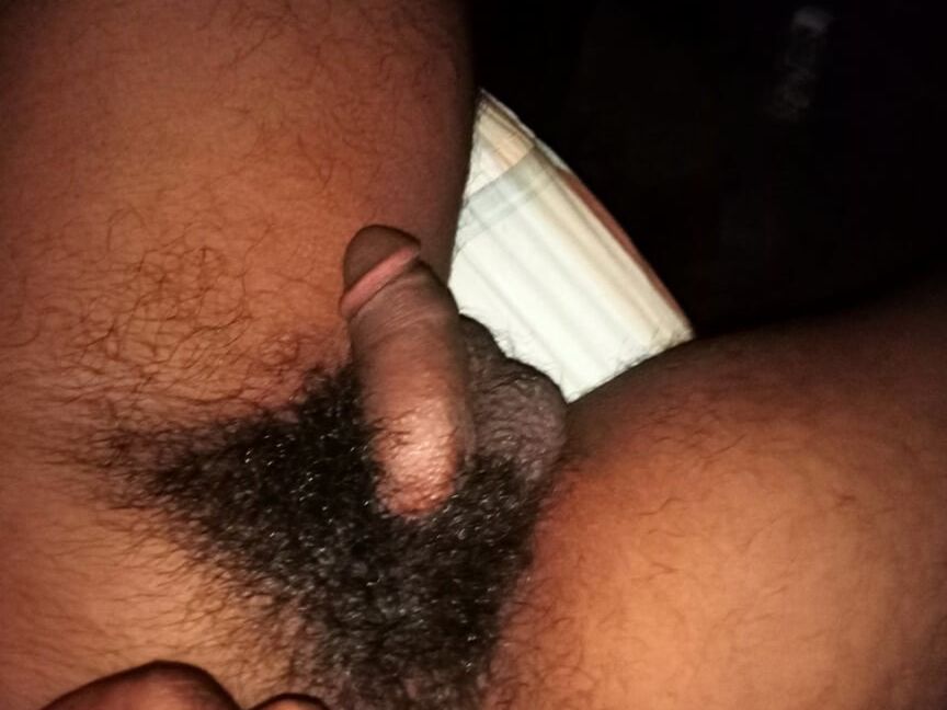 Dick or cock collection