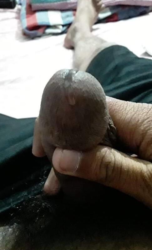 Dick or cock collection