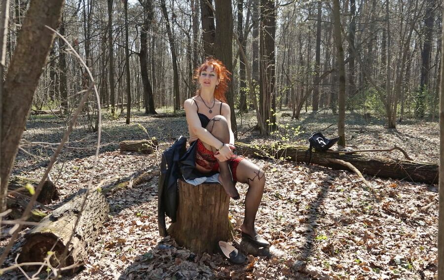 in Spring Forest on the Stomp