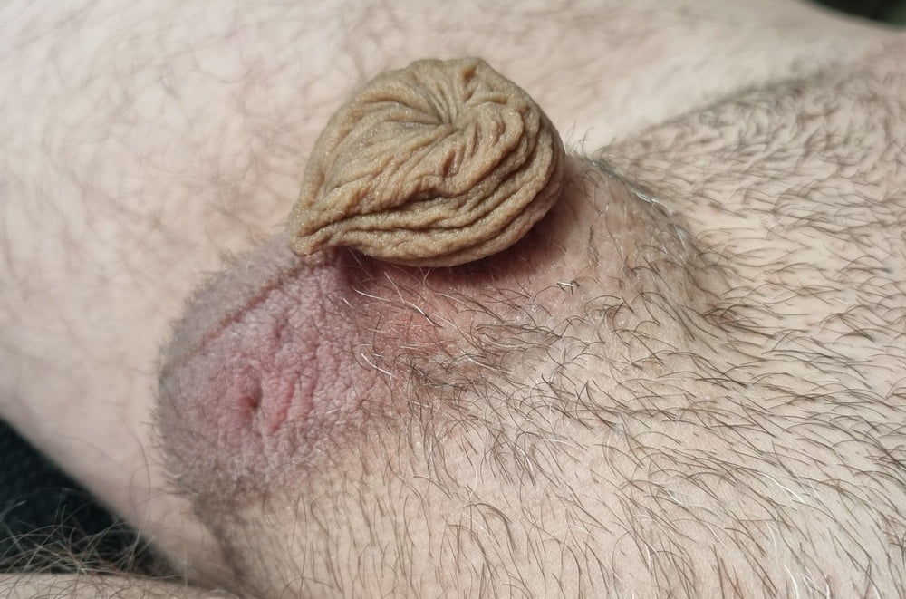 Very small and hairy
