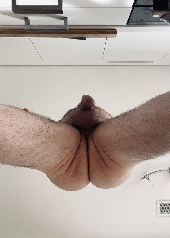 Hairy Bear shows of his fat meaty cock