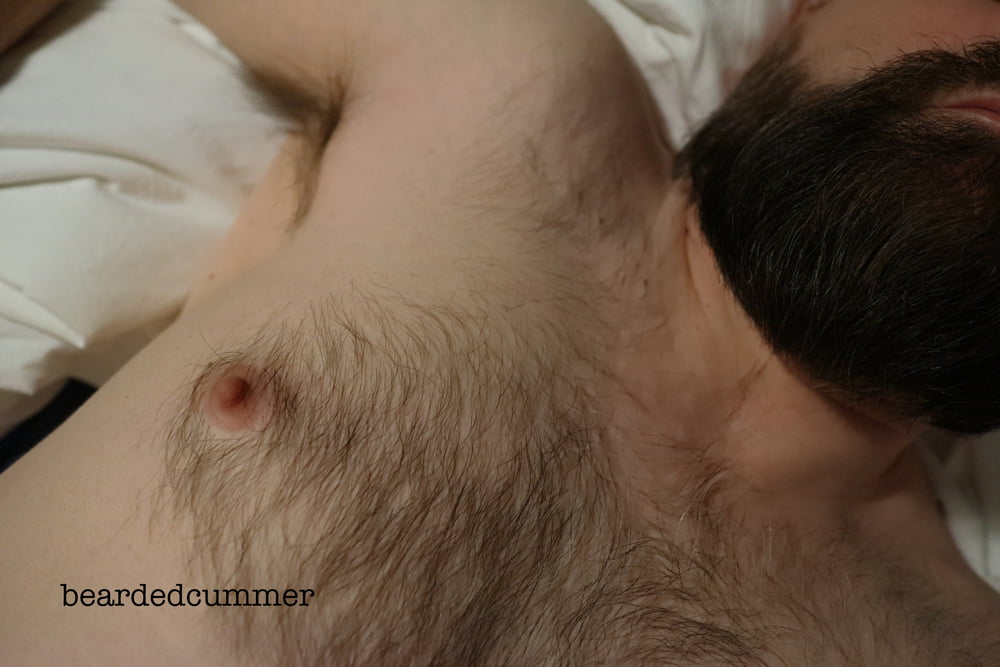 Hairy Bear shows off pits, chest, cock