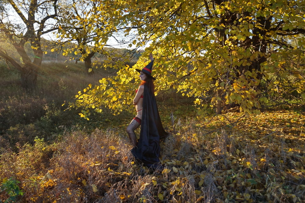 On Evening Sun