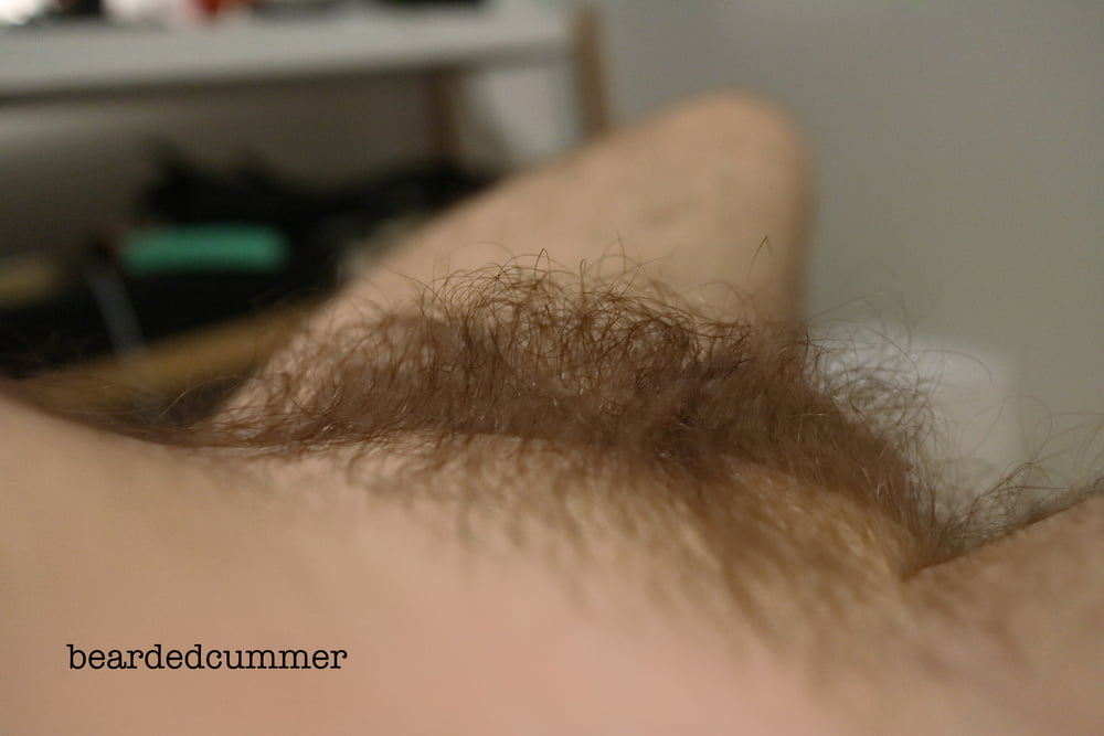 Hairy Bear shows off pits, chest, cock