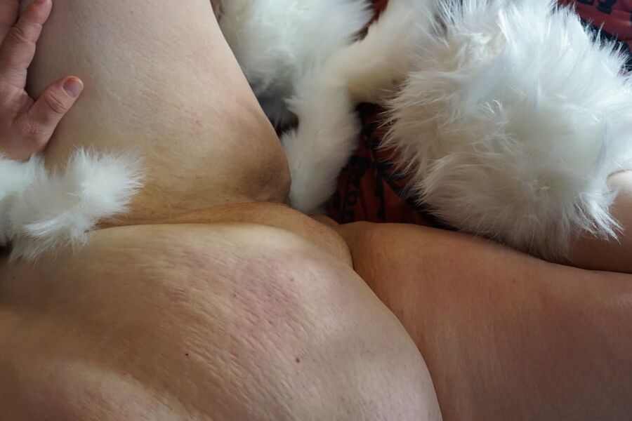 Sexy BBW Furry Fox Photoset
