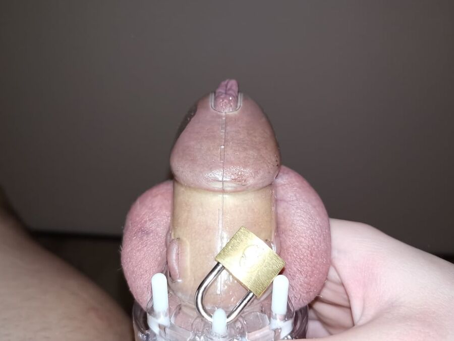 My first chastity
