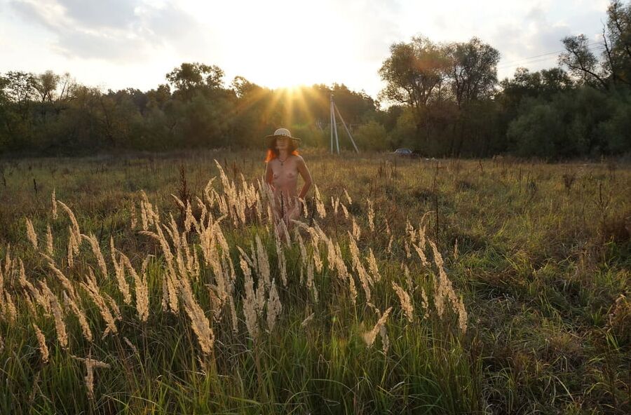 In Sunset Rays