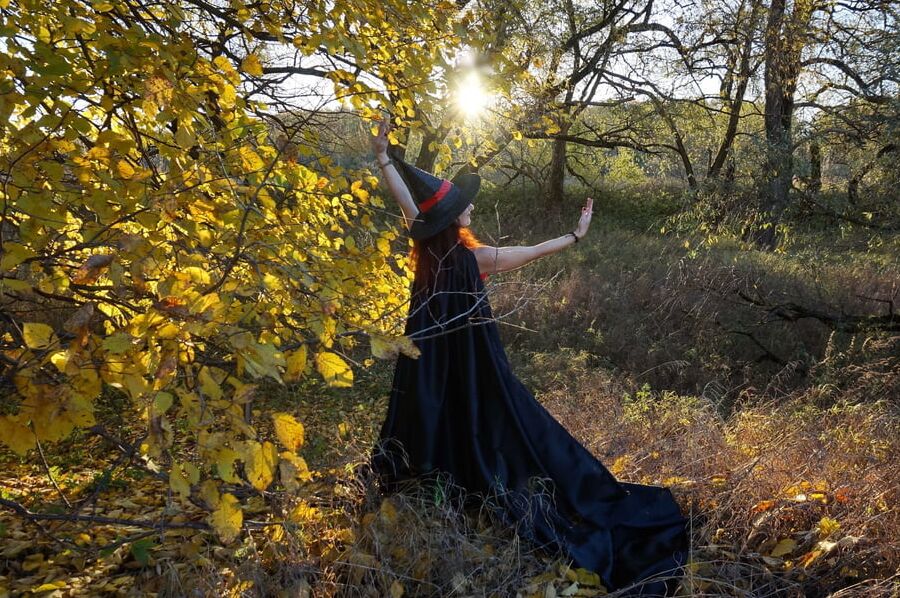 In Backsunlight