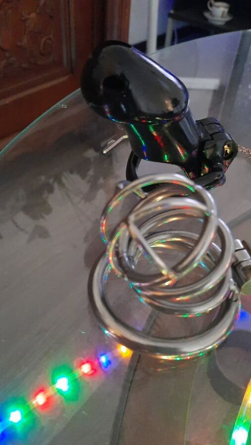 My chastity devices.