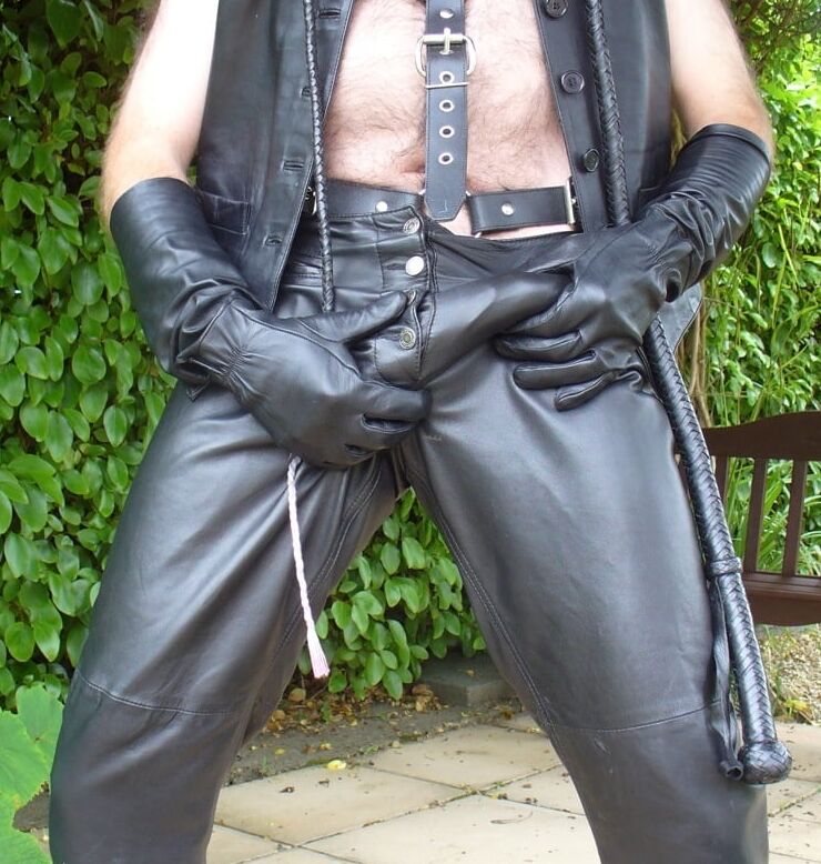 Leather Master outdoors in harness with whip