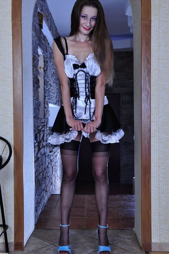 My New French Maids Uniform - Julie Cunningham