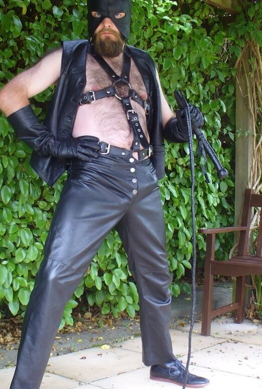 Leather Master outdoors in harness with whip
