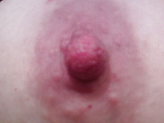 YoungEnglishBBW my random booty pics
