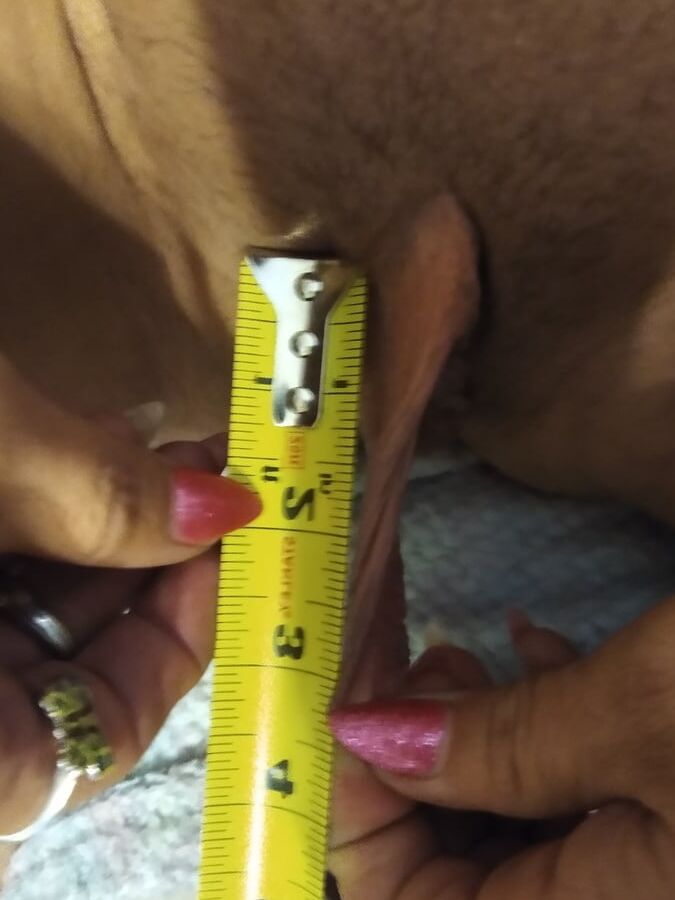 Measuring them