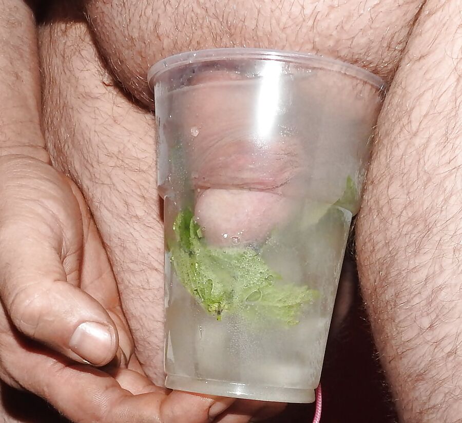 CBT Mojito