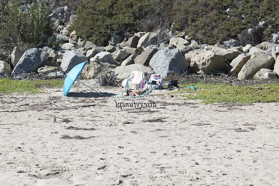 We Love the Nude Beach!