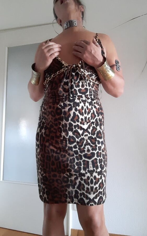 Tygra slut in leopard dress for Longdick Jack.