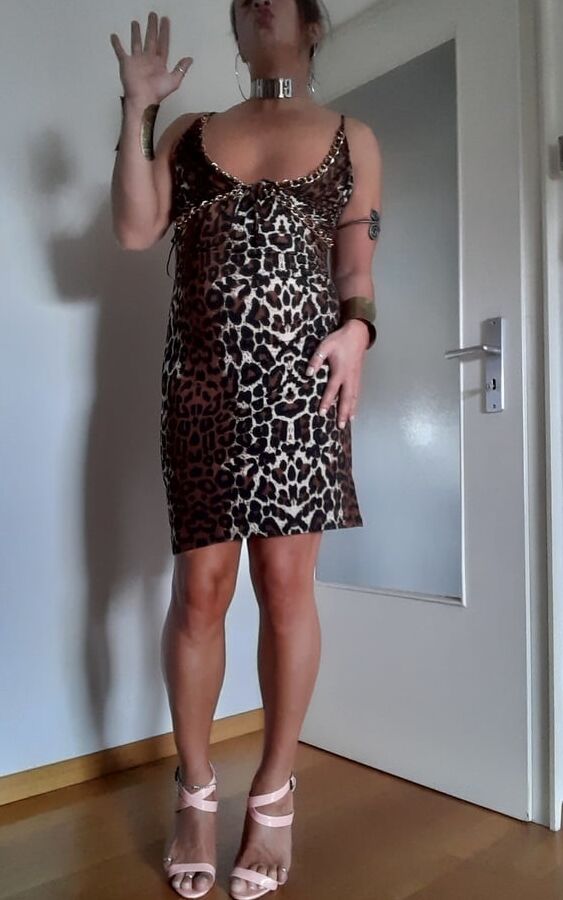 Tygra slut in leopard dress for Longdick Jack.