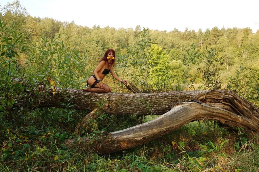 Crawling on Wood