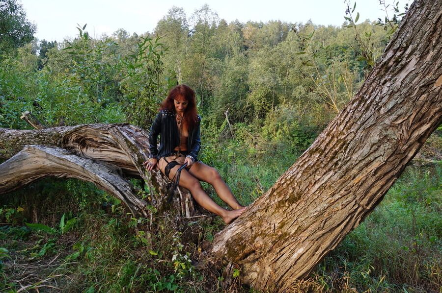 Domina near tree