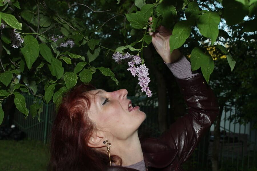Lilac