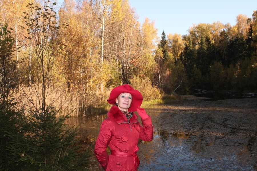 Yellow Autumn