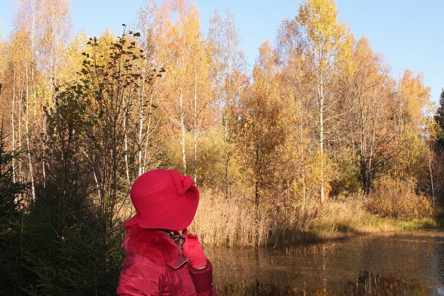 Yellow Autumn