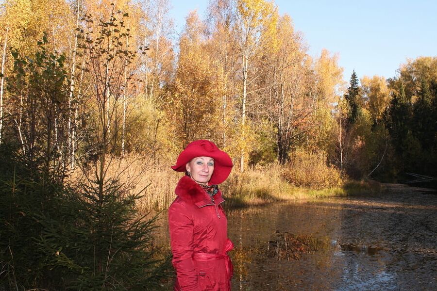 Yellow Autumn