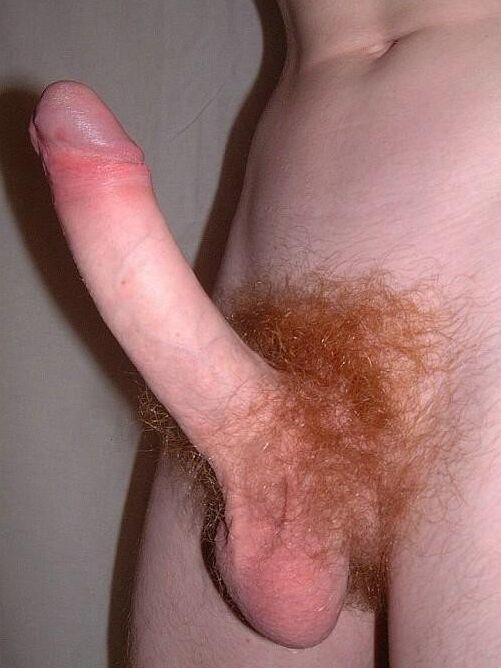 Big Penis junger Boy