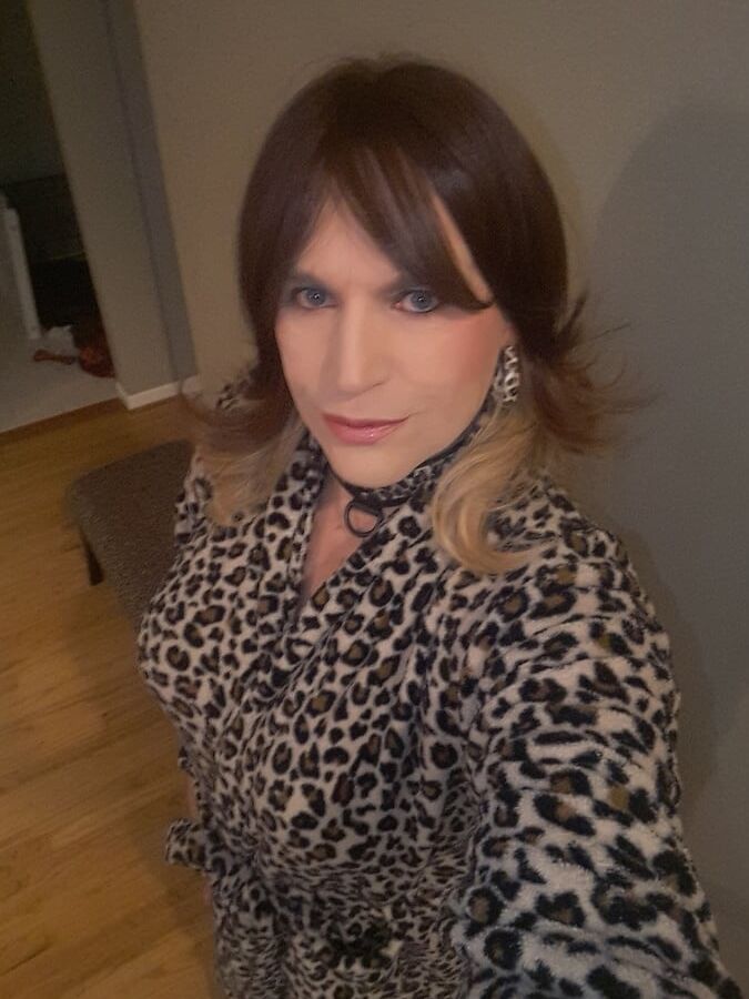 Tranny Cougar