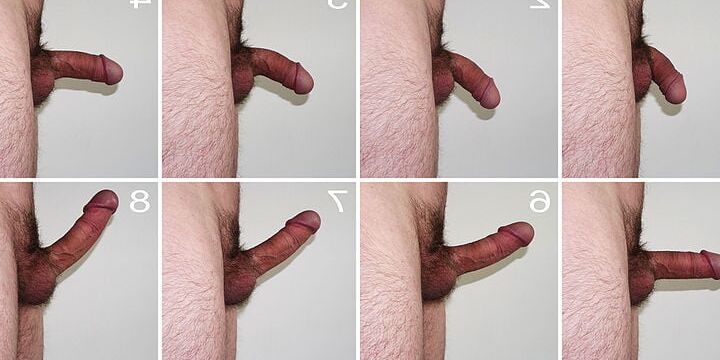 Penial size