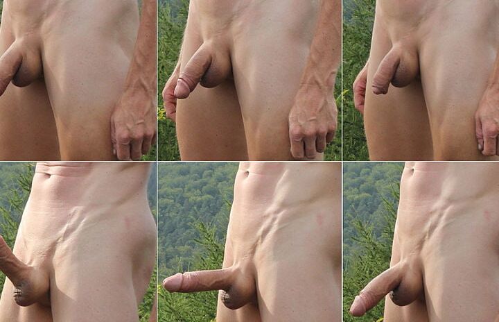 Penial size