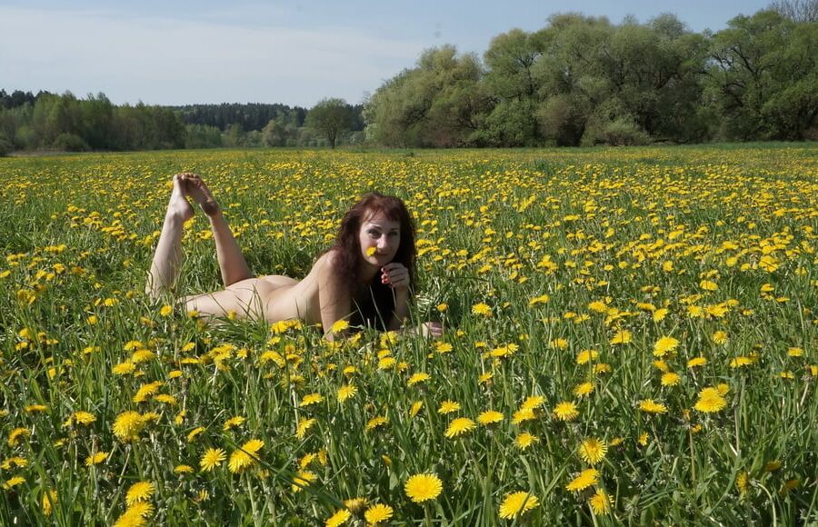 On medow full of yellow flowers